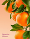 Крем-гель для душа Victoria&rsquo;s Secret Clementine Hibiscus Cream Body Wash 296 мл 27080409 фото 2